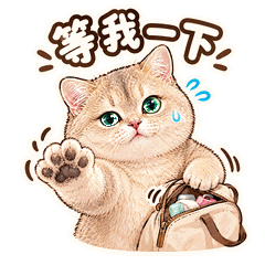 日常系列 · 壹 4