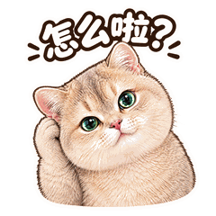 日常系列 · 壹 7